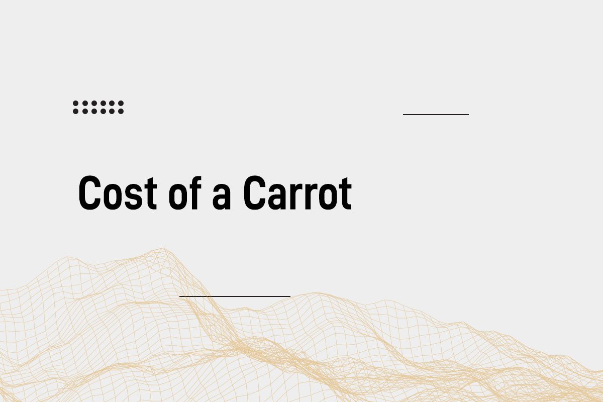 Cost of a Carrot Blogpost Cover