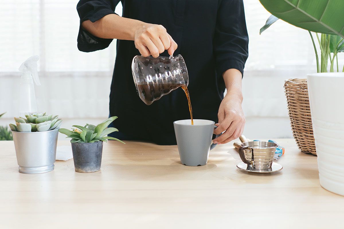 Man brewing an ordinary cup of coffee